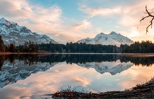 阿根廷的雇佣机构