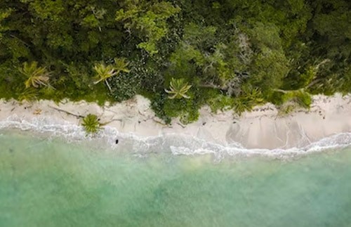 哥斯达黎加的雇佣机构