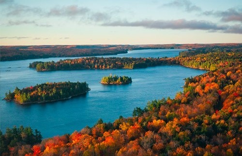 加拿大的雇佣机构
