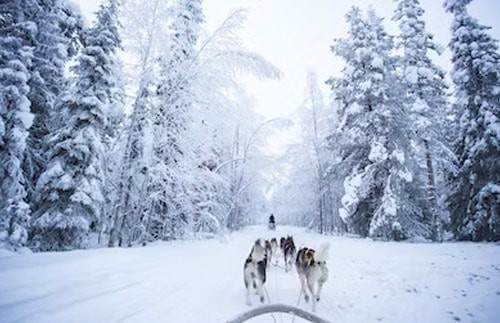 芬兰的招聘机构 