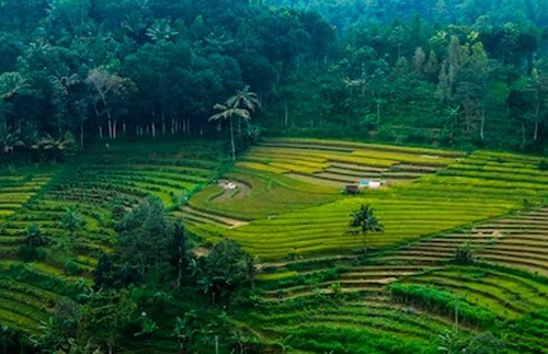 印度尼西亚人才招聘机构