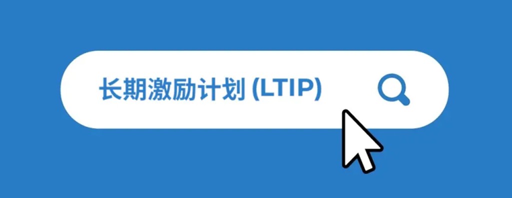 什么是长期激励计划（LTIPs）？